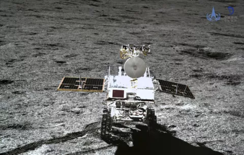 China logra que una semilla de algodón brote en la Luna 