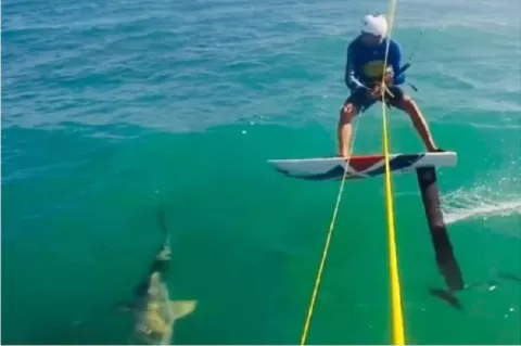 Chocó contra un tiburón mientras hacia kitesurf