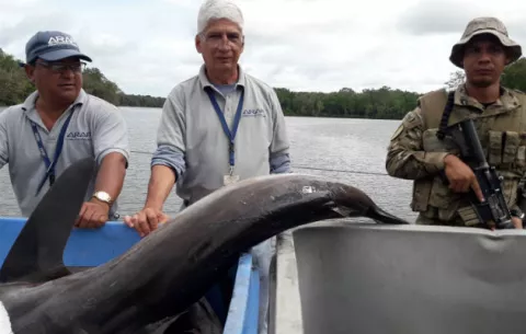 A órdenes de Migración, ticos retenidos con pesca ilegal en Chiriquí