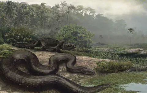 Exhibición: Boa más grande del mundo... aquí en Panamá
