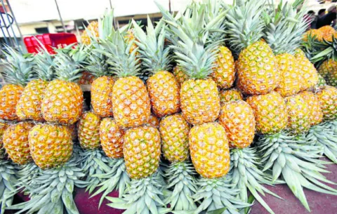 Productos agrícolas y agroindustriales de Panamá tendrán acceso preferencial en Israel