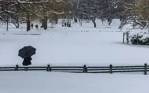 Declaran emergencia en Georgia y Carolina del Norte por tormenta de nieve