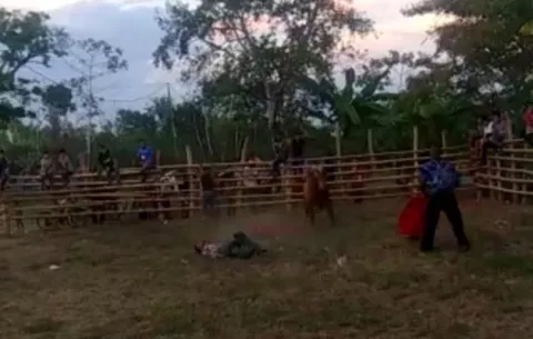 Un hombre es pateado por un toro y muere en el hospital Rafael Hernández de David