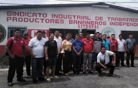 Trabajadores bananeros declaran huelga en cinco fincas    