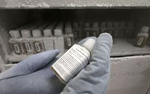 Un tratamiento eficaz pero ¿asqueroso?