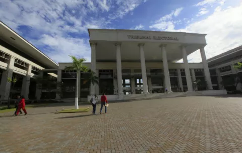 Tribunal Electoral establece periodo para publicar encuestas políticas