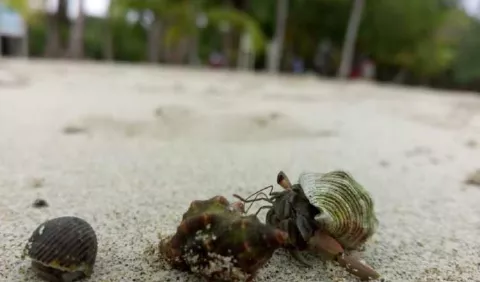 Lugares para visitar en Panamá
