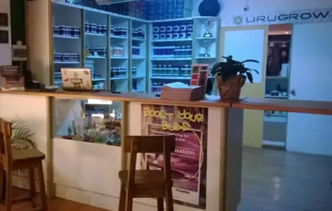 Les da igual a los uruguayos la legalización de la marihuana