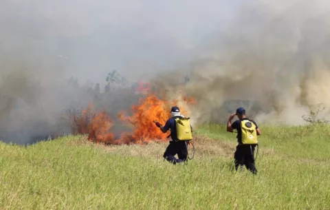 Aumenta la cifra de incendios de herbazales y reservas forestales en Veraguas