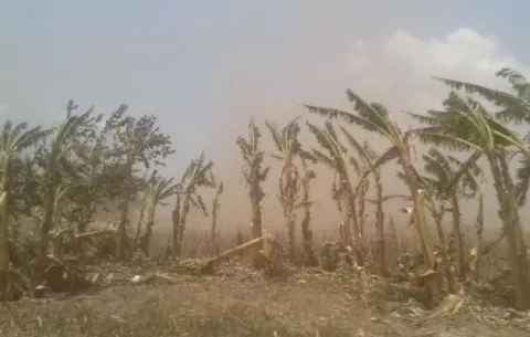 Temor por fuertes vientos en Chiriquí 