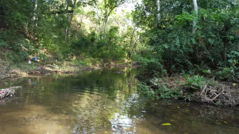 Hombre amarra a una mujer con discapacidad y la lleva a un río para abusar de ella