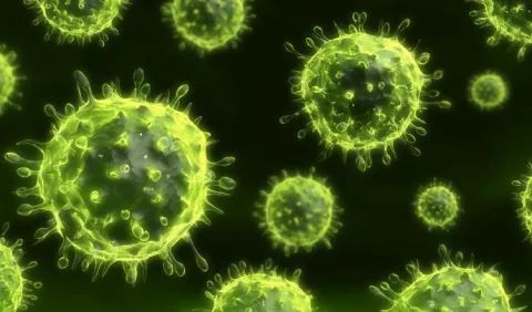 Virus se toman el sistema inmunitario   