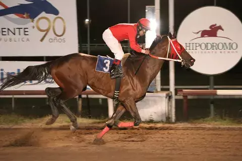 Fray Angélico vuelve a la competencia tras correr en la Serie del Caribe