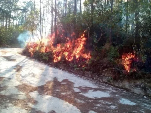 Por quinta vez incendian la reserva forestal de La Yeguada en Calobre