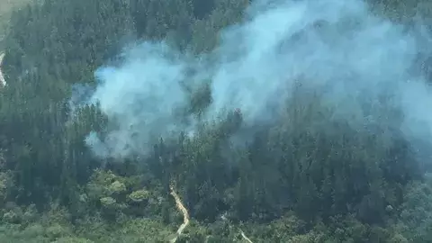Incendio consume 20 hectáreas en la reserva forestal La Yeguada