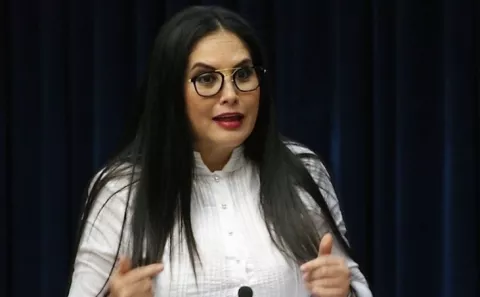 Propuesta sobre impuesto a remesas, presentado por Zulay Rodríguez, es prohijado 