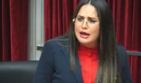 Extranjero que ofenda al país tendrá que irse