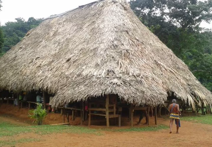 Parará Purú: una aventura en las entrañas del Chagres 