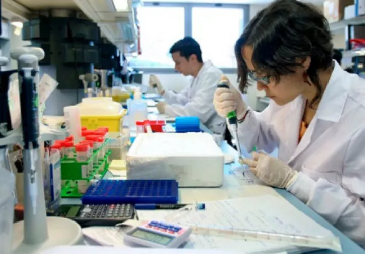 Investigaciones contra el cáncer. Foto/ EFE