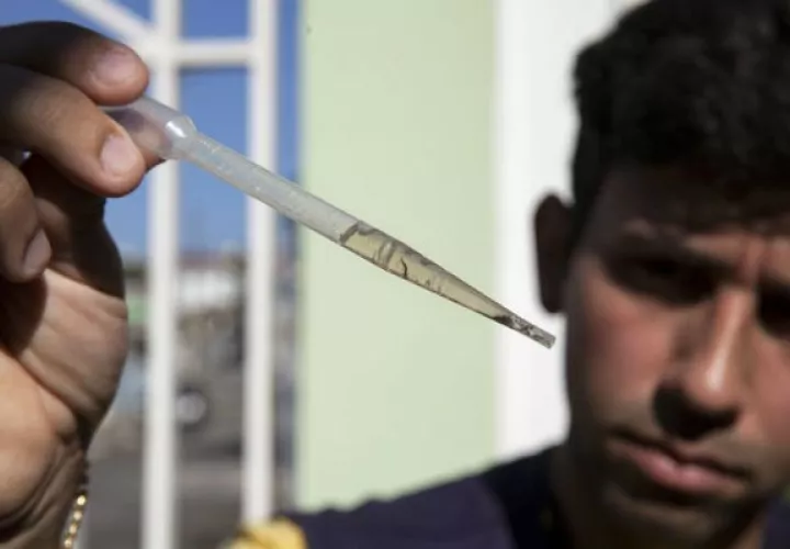 Todavía no hay vacunas para prevenir el dengue. Foto/ EFE