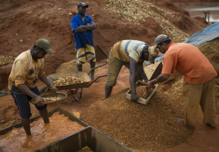 Un grupo de trabajadores buscan oro de forma rudimentaria. Foto/AP