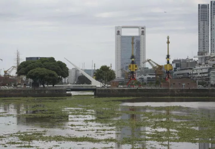 El inusual color se debe a las plantas fluviales a su paso por la capital argentina. Foto:EFE