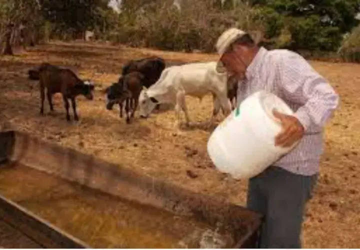 Solicitan manejo racional del agua en la sociedad panameña/Archivo.