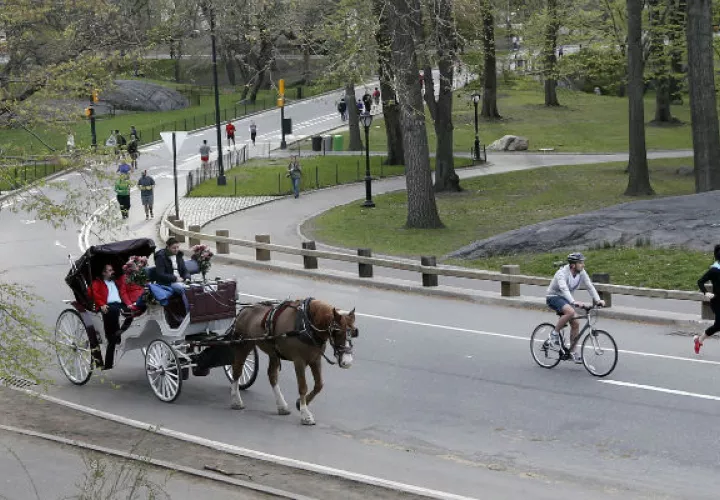 Un paseo en carruajes por Central Park, Nueva York. Foto/AP