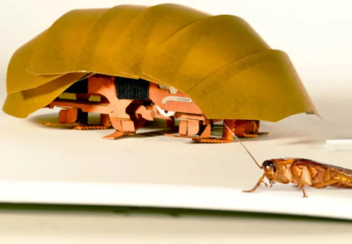 Tiene como 20 veces el tamaño de un cucaracha de verdad. Foto/ AP