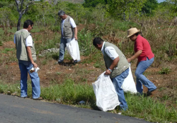 Eliminan criaderos. Foto: José Vásquez