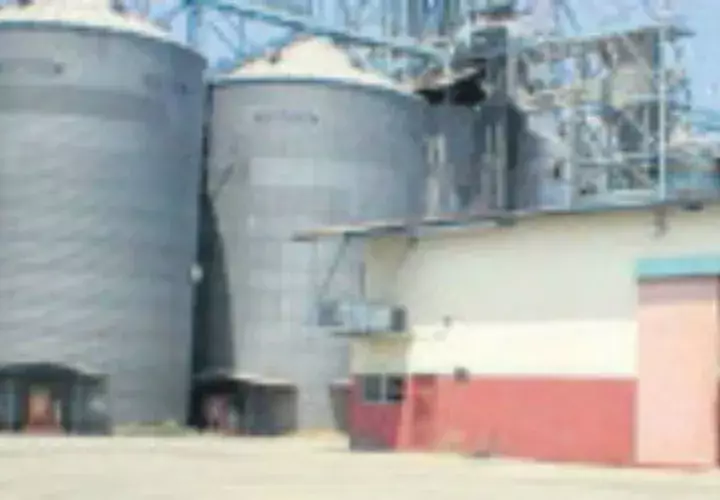 Silos metálicos tendrán una capacidad de25 mil quintales cada uno/Cortesía.