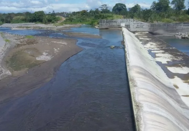 La falta de agua ocasiona que muchos productores migren a otros cultivos.  / Foto José Vásquez