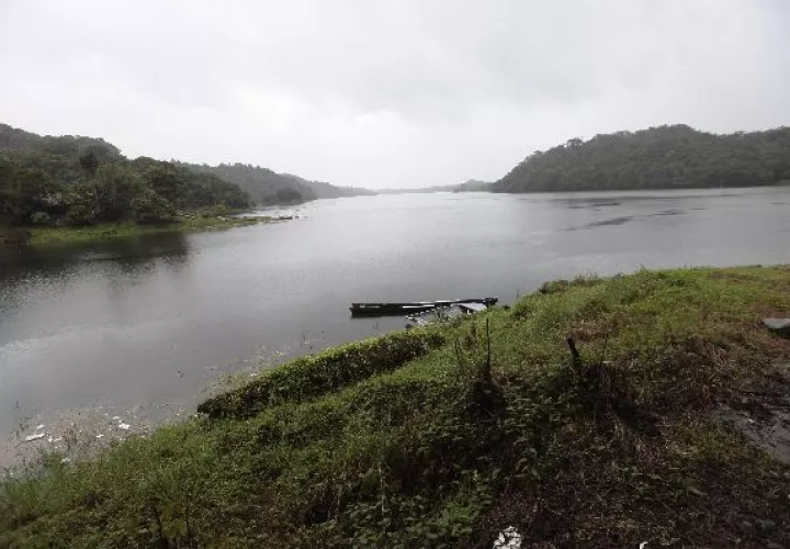 El lago tiene abundante agua para ser procesada.  / Archivo
