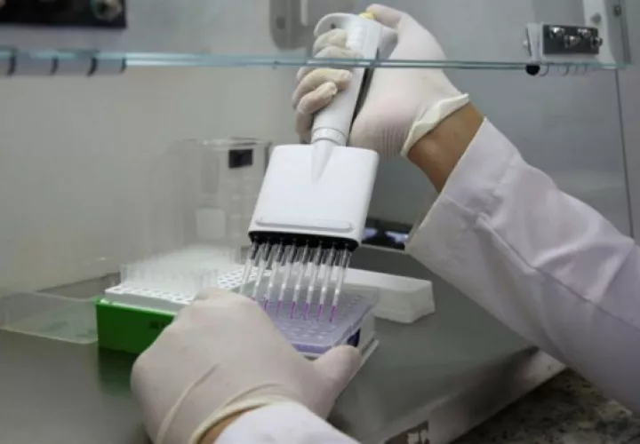 Realizan nuevas investigaciones. Foto/EFE