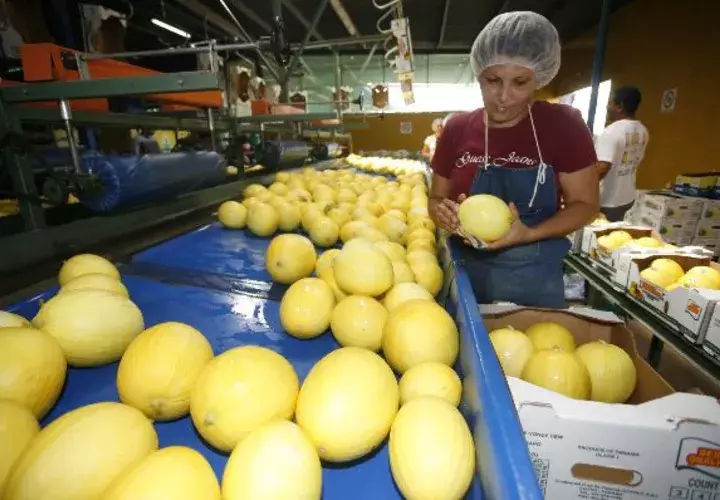 Sectores económicos reclaman políticas estatales que hagan competitiva la producción.  / Archivo