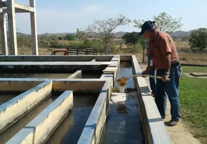La construcción de una nueva planta potabilizadora, cada vez se hace  más urgente.  / Foto Zenaida Vásquez