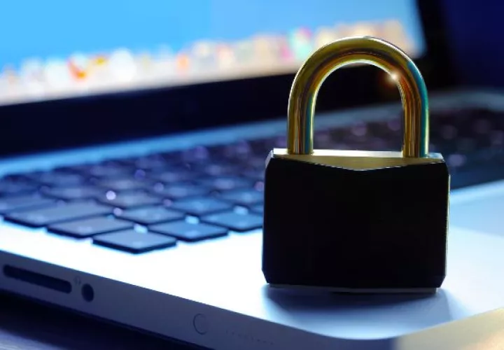 Snapchat, Signal, Whatsapp y Wordpress son algunas de las empresas que buscan ofrecer más seguridad.  / Web