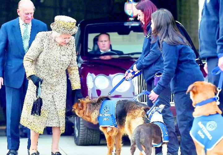 La reina Isabel II de Inglaterra llegó a tener hasta treinta perros.