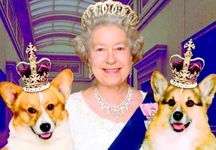 La reina, tiene claro como se tiene que educar a sus mascotas.