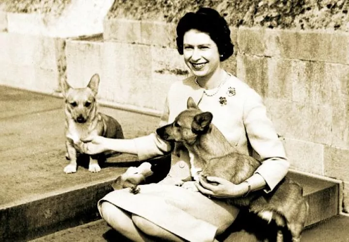 A los 18 cumpleaños Isabel II tuvo a su primer corgi llamada Susan.