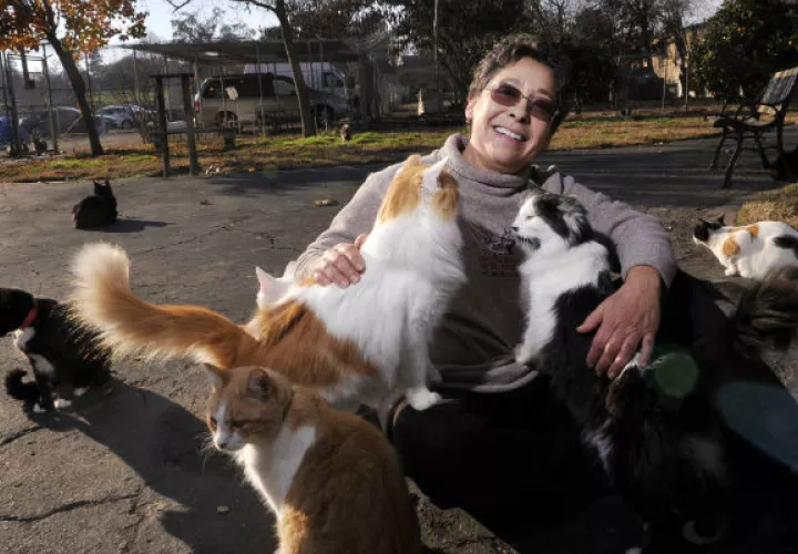 Lynea Lattanzio, fundadora del albergue. Foto/ AP
