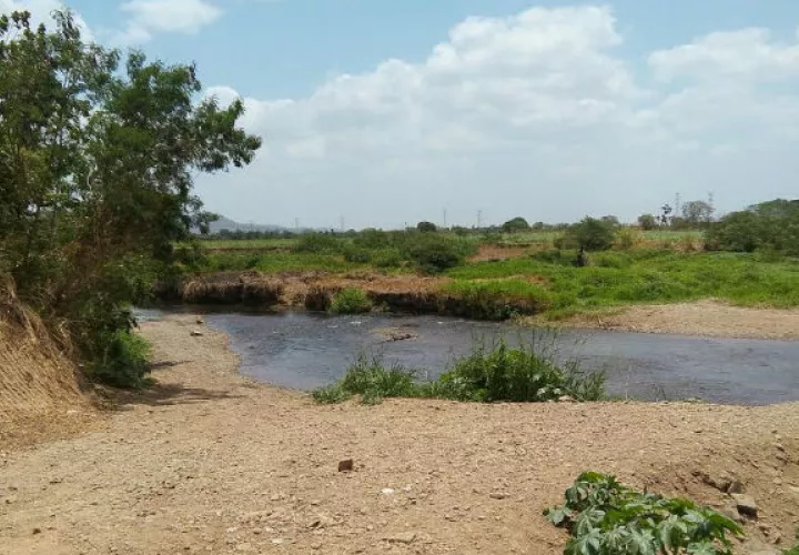 Río Chico de Natá. Foto: Elena Valdez