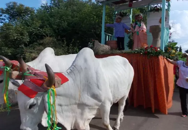 Actividades /Foto Zenaida Vásquez