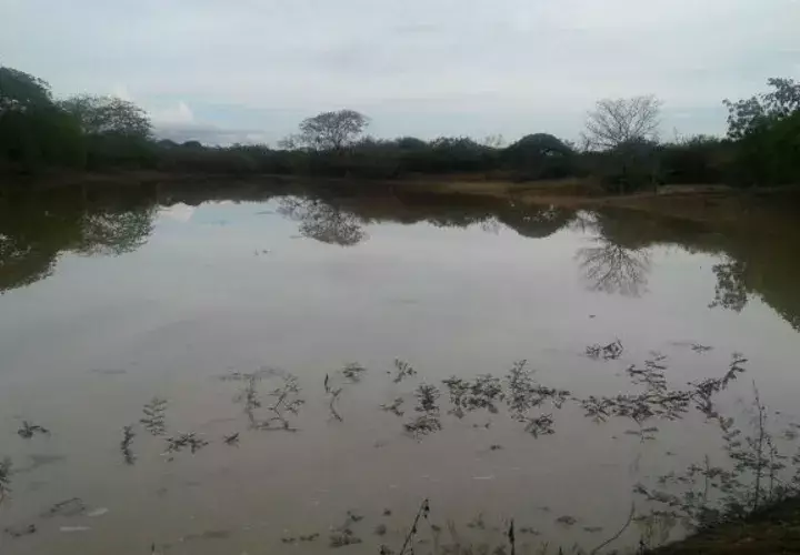 Se llenaron los abrevaderos. Foto/ Zenaida Vásquez