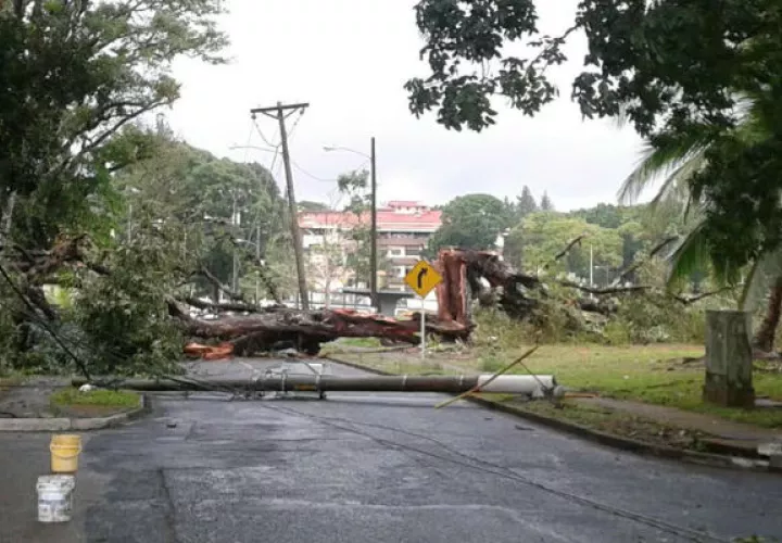 Así quedaron las vías. Foto: Delfia Cortez