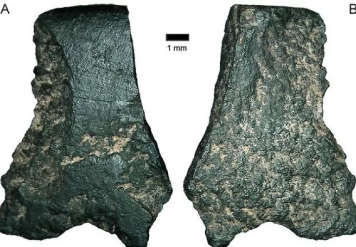 Fragmentos vistos a través de un microscopio. Foto/ EFE
