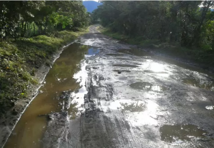 Foto: José Vásquez