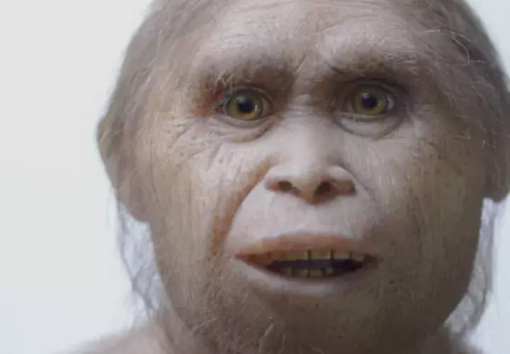 Los "hobbits" son nuestros primos ya extintos. Foto/ AP