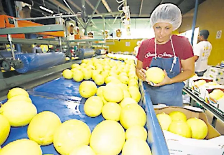 Panamá necesita competir con grandes exportadores de A. Latina