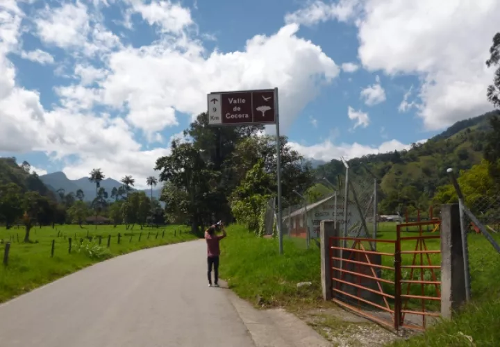 El paisaje es muy hermoso y destaca por su extensa vegetación. Luis Avila